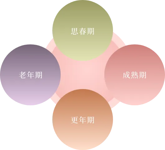 思春期 成熟期 更年期 老年期
